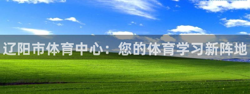 vsport体育官网下载招商电话地址：辽阳市体育中心