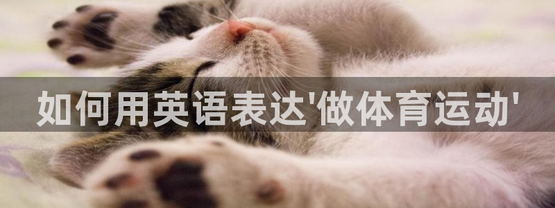 vsport体育官网下载平台是正规平台吗安全吗：如何