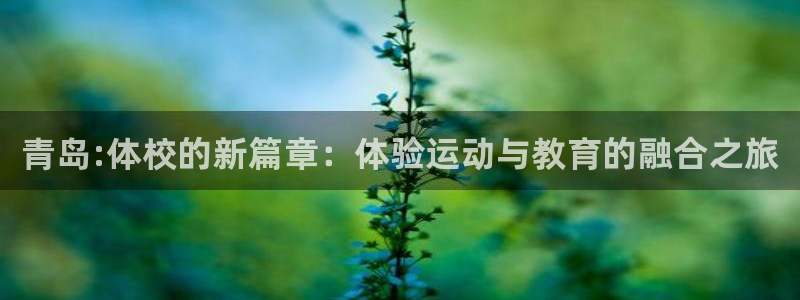 vsport体育官方正版app娱乐首页网站大全：青岛:体校的