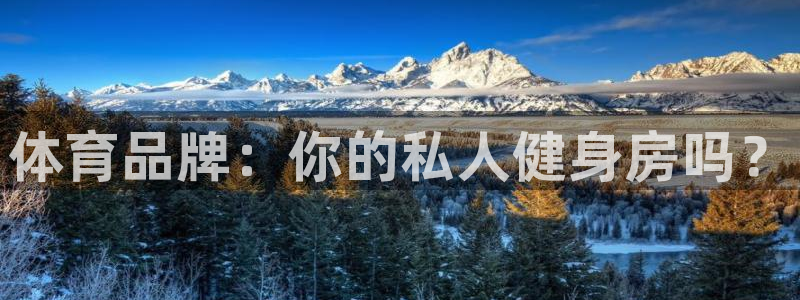 vsport体育官方正版app娱乐：体育品牌：你的私