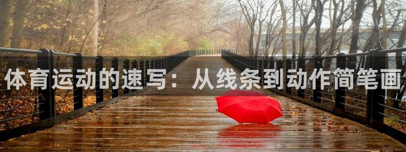 vsport体育官网下载是干嘛的公司：体育运动的速写：从线条