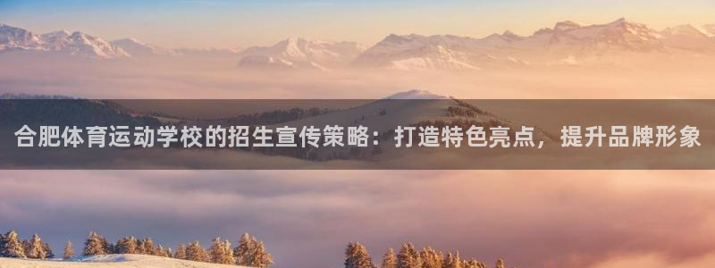 vsport体育官网下载：合肥体育运动学校的招生宣传策略：打