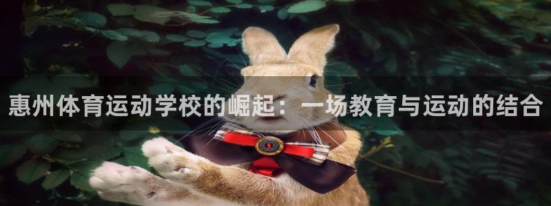 vsport体育官方正版app神州：惠州体育运动学校的崛起：