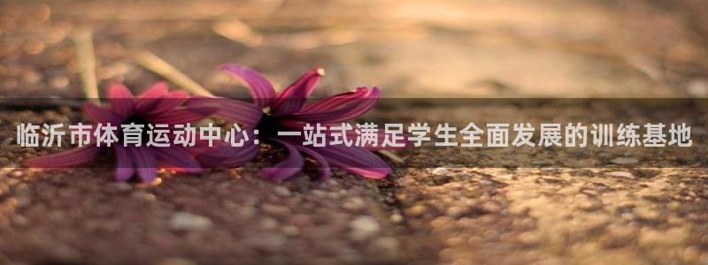 vsport体育官方正版app官方：临沂市体育运动中