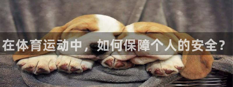 vsport体育官方正版app集团：在体育运动中，如