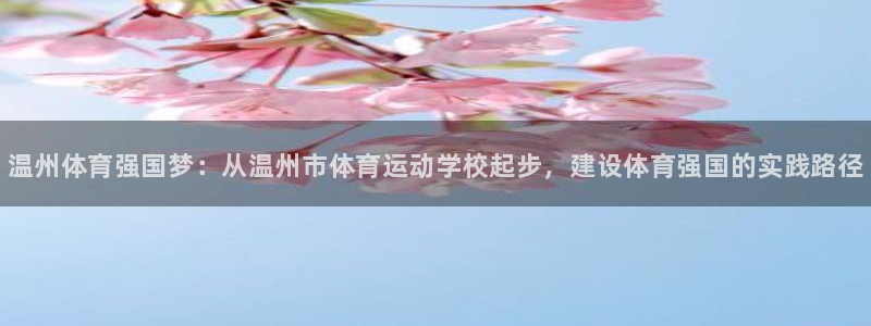 vsport体育官方正版app神州：温州体育强国梦：