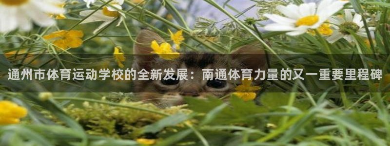 vsport体育官方正版app开户：通州市体育运动学