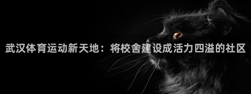注册vsport体育官方正版app：武汉体育运动新天