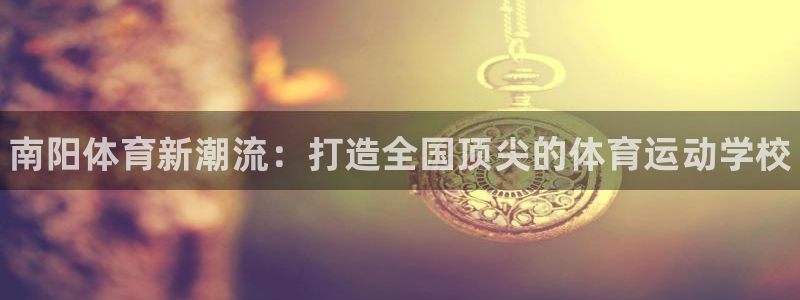 vsport体育官网下载联系电话：南阳体育新潮流：打造全国顶