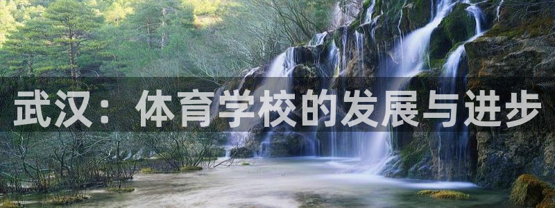 vsport体育官网下载招商电话号码：武汉：体育学校的发展与