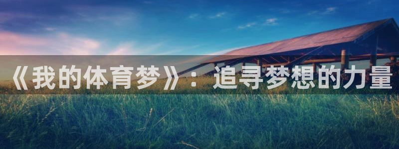 vsport体育官方正版app集团简介：《我的体育梦