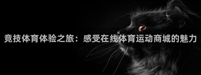 vsport体育官网下载平台：竞技体育体验之旅：感受在线体育