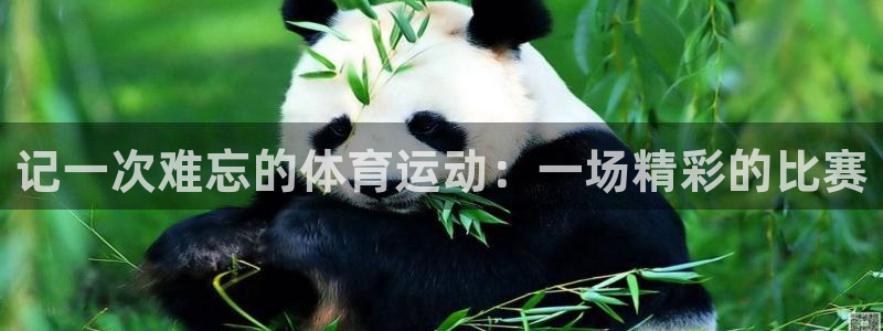 vsport体育官网下载平台注册流程图：记一次难忘的体育运动