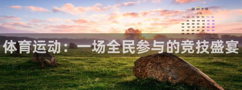 vsport体育官网下载平台假的吗是真的吗：体育运动