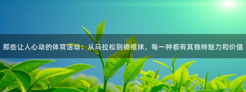 vsport体育官方正版app集团官网首页网址：那些