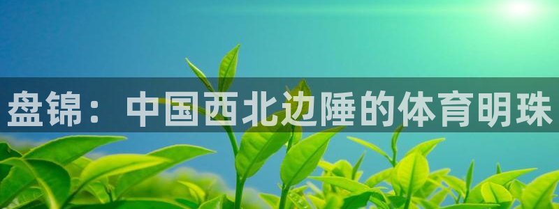 vsport体育官方正版app娱乐：盘锦：中国西北边