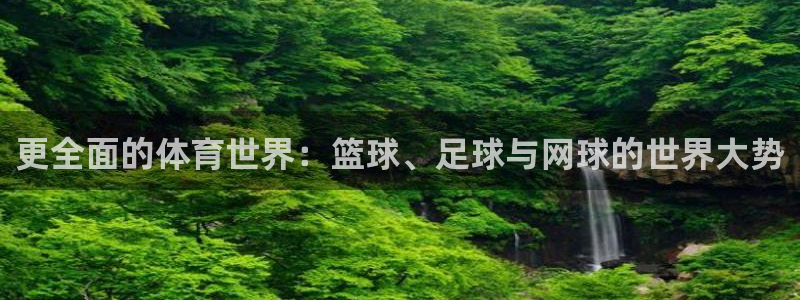 vsport体育官网下载平台注册要钱吗：更全面的体育