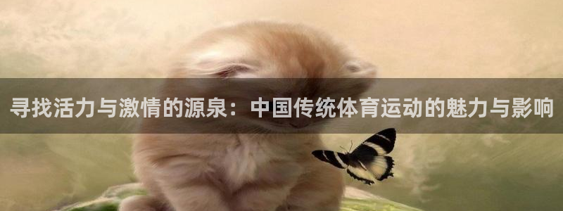 vsport体育官网下载招商电话地址查询：寻找活力与