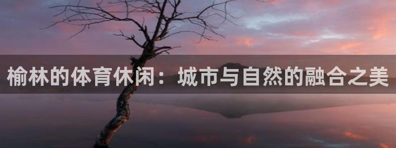 vsport体育官方正版app娱乐代理怎么样