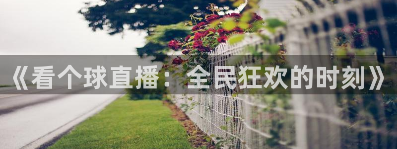 鲸鱼体育直播app免费下载：《看个球直播：全民狂欢的时刻》