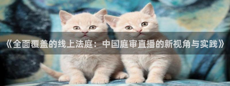 鲸鱼直播(体育直播)：《全面覆盖的线上法庭：中国庭审直播的新视角与实践》