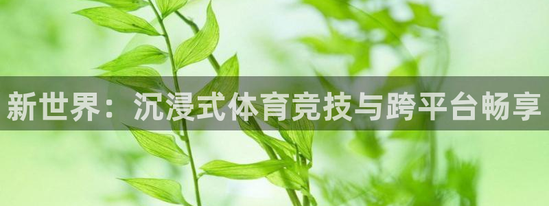 vsport体育阿根廷