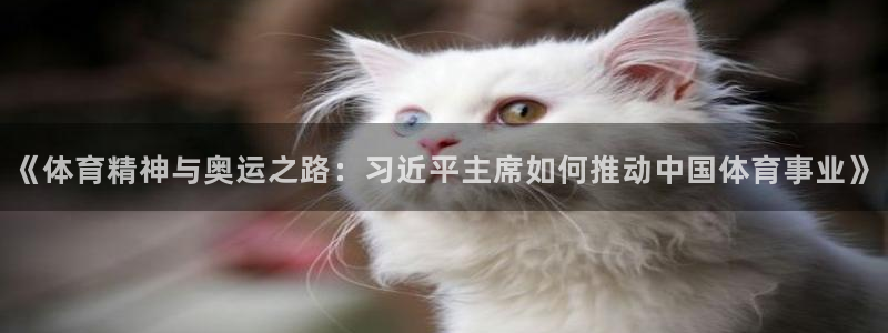 vsport体育官网：《体育精神与奥