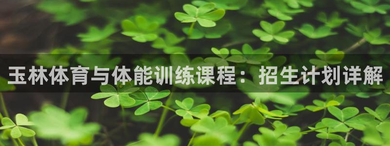 vsport体育在线官网