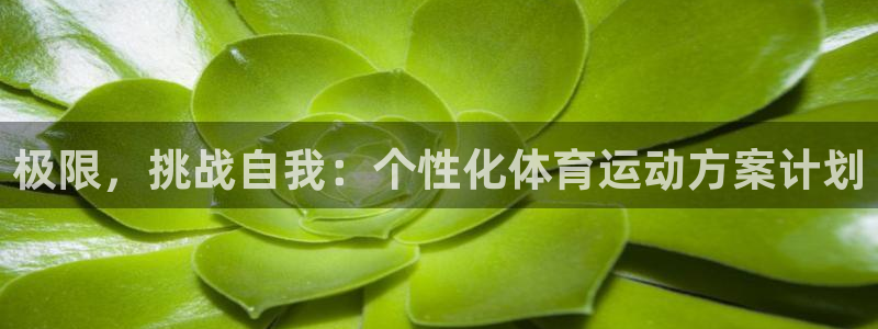 Vsport体育官方网站入口