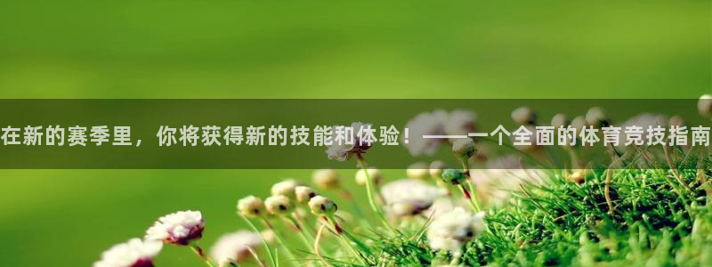 Vsport体育官方网站入口