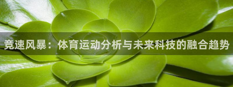 vsport体育平台：竞速风暴：体育