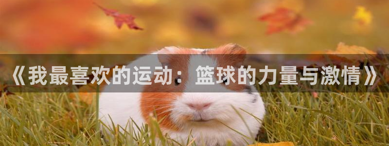 VSport体育平台-胜利因您更精彩