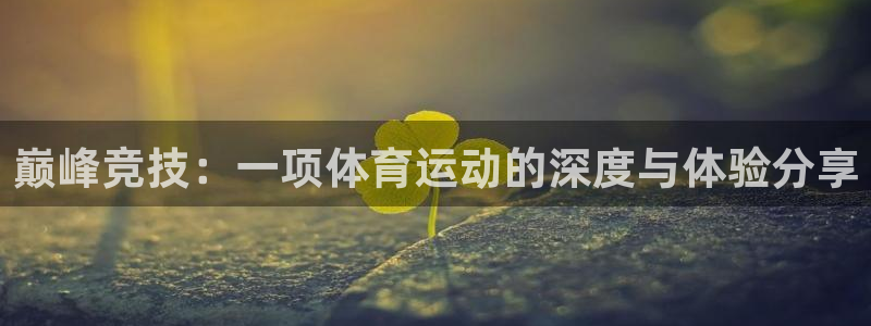 vsport体育在线官网：巅峰竞技：
