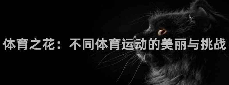 vsport体育：体育之花：不同体育
