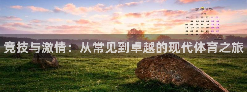 vsport体育官网下载平台假的吗是真的吗：竞技与激情：从常