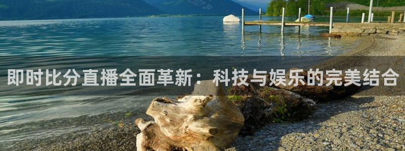 鲸鱼体育tv直播：即时比分直播全面革新：科技与娱乐的完美结合
