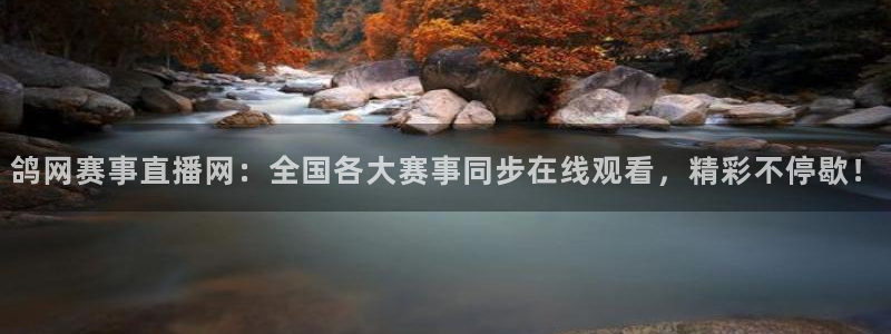 鲸鱼足球体育直播：鸽网赛事直播网：全国各大赛事同步在线观看，精彩不停歇！