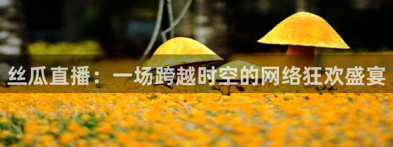 鲸鱼体育tv直播：丝瓜直播：一场跨越时空的网络狂欢盛宴